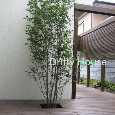 kyk006s-神奈川県横浜市金沢区Ｓ様邸ガーデン工事施工例/シンプル＆ナチュラルでシックなお庭