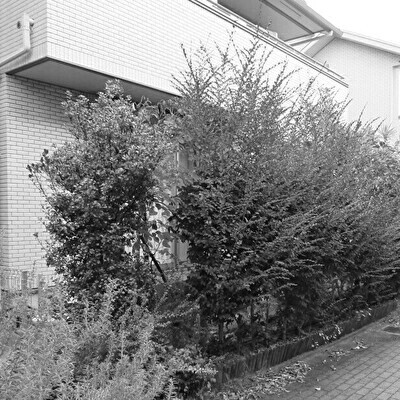 �_�ސ쌧����sA�l�@�@�{�H�O